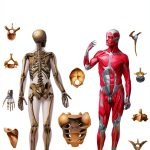 Ripol Classic Russian Medicine Kindle eBook 861‑Page Medical Textbook-0